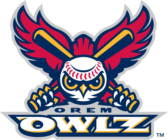 Orem Owlz 2005-Pres Primary Logo iron on heat transfer